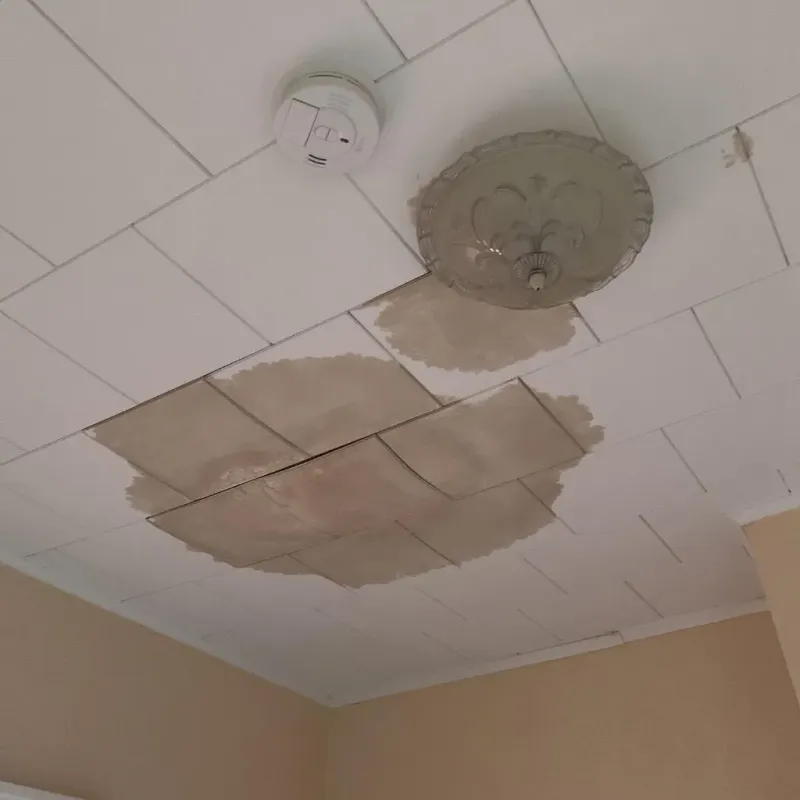 Ceiling Water Damage Repair in Royalton, MN